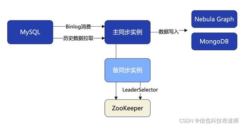 信也科技推出國際業務圖數據庫 以多點關聯構筑反詐防護墻